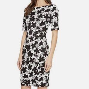 Calvin Klein Black & White Fab Floral Sheath Dress Sz 12